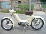 obrázek Jawa 550 Pařez
