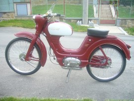 fotka 1