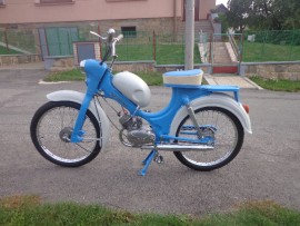 fotka 1