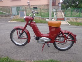 fotka 1