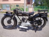 obrázek Sarolea