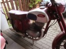 fotka2 